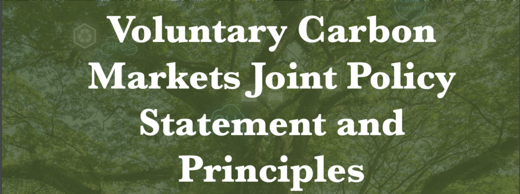 Voluntary Carbon Markets Joint Policy Statement and Principles, May 2024 from the White House
